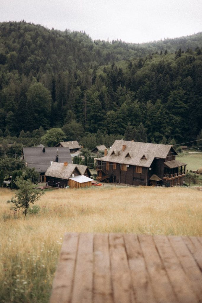 Idyllic view of wooden houses amidst lush forests in Лекечі, Чернівецька область, Україна.