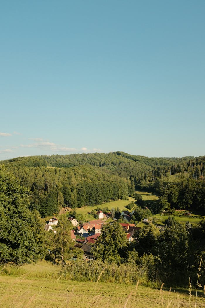 A picturesque view of Schmalkalden, Thüringen, surrounded by lush forests and rolling hills.