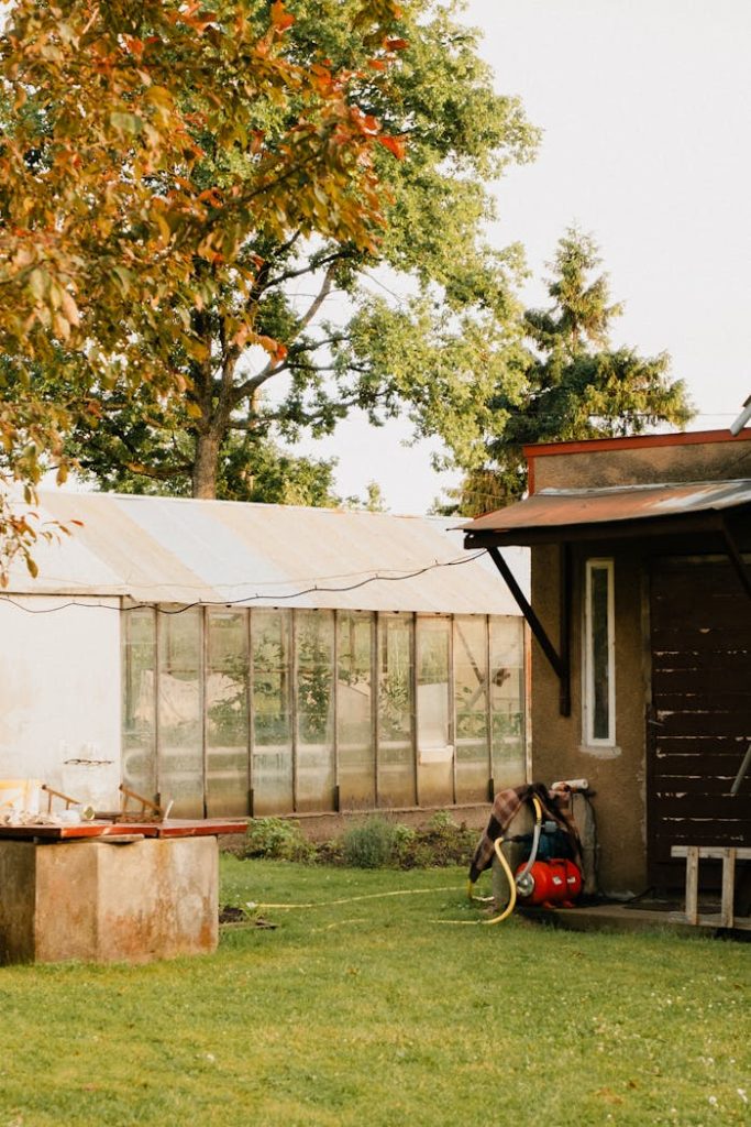 A peaceful backyard scene featuring a greenhouse and lush trees during autumn.